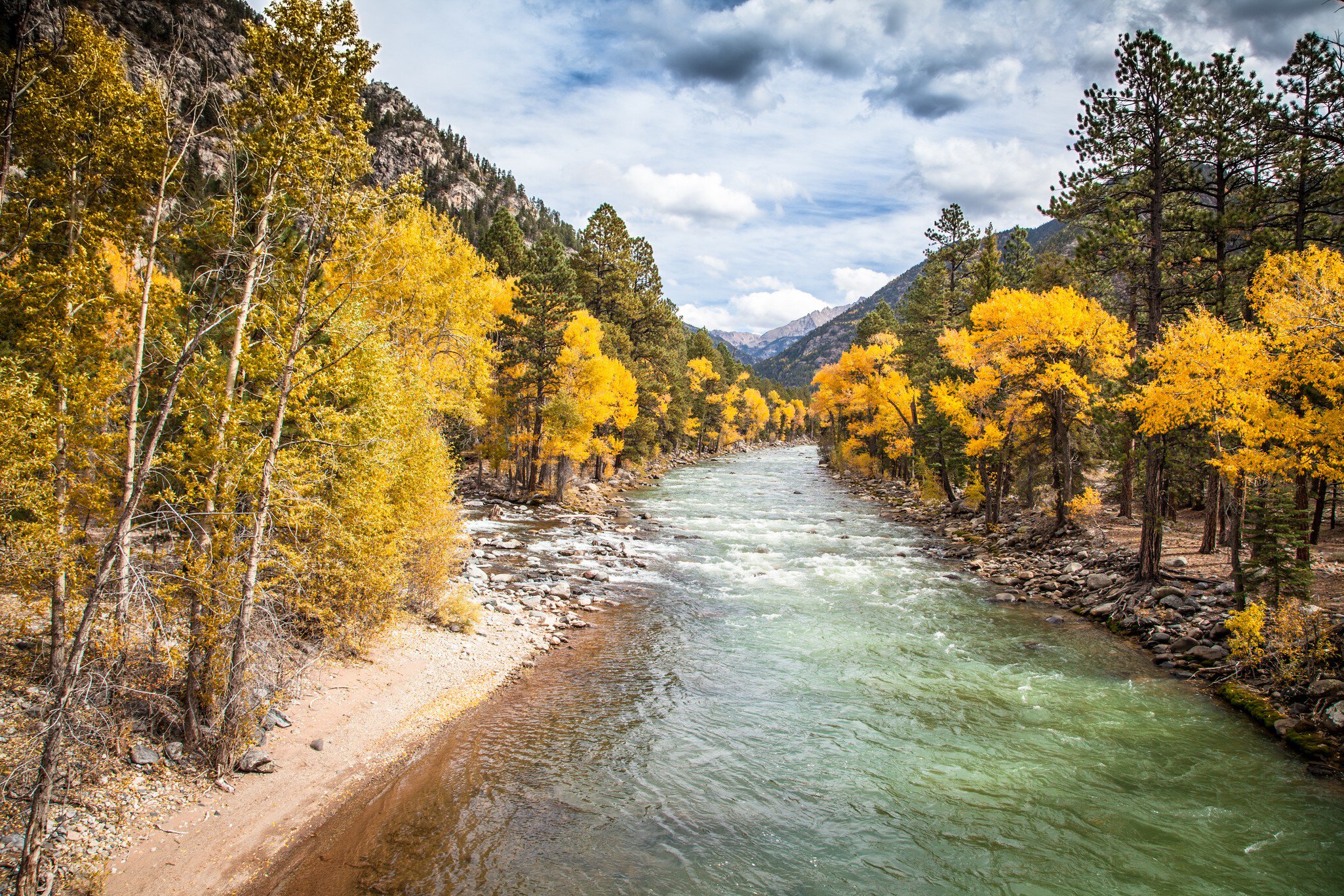 The wonderful Animas River, near Durango, is running through golden aspens in the Weminuche Wilderness area before reaching the city of Durango.