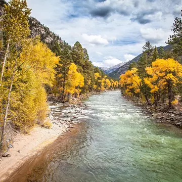 The wonderful Animas River, near Durango, is running through golden aspens in the Weminuche Wilderness area before reaching the city of Durango.
