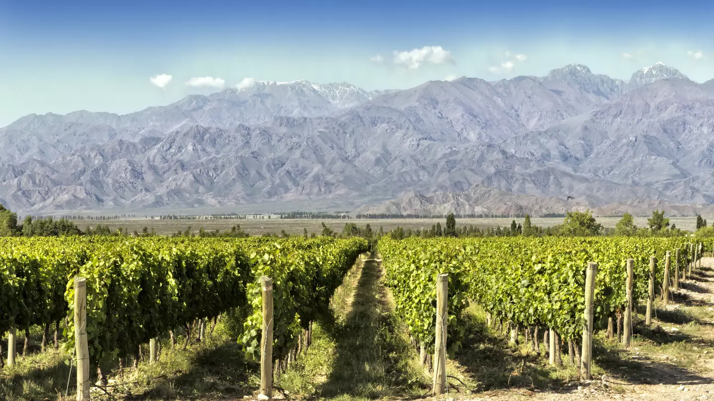 Argentina's claims to fame – the Andes and wine © Edsel Querini / Getty Images