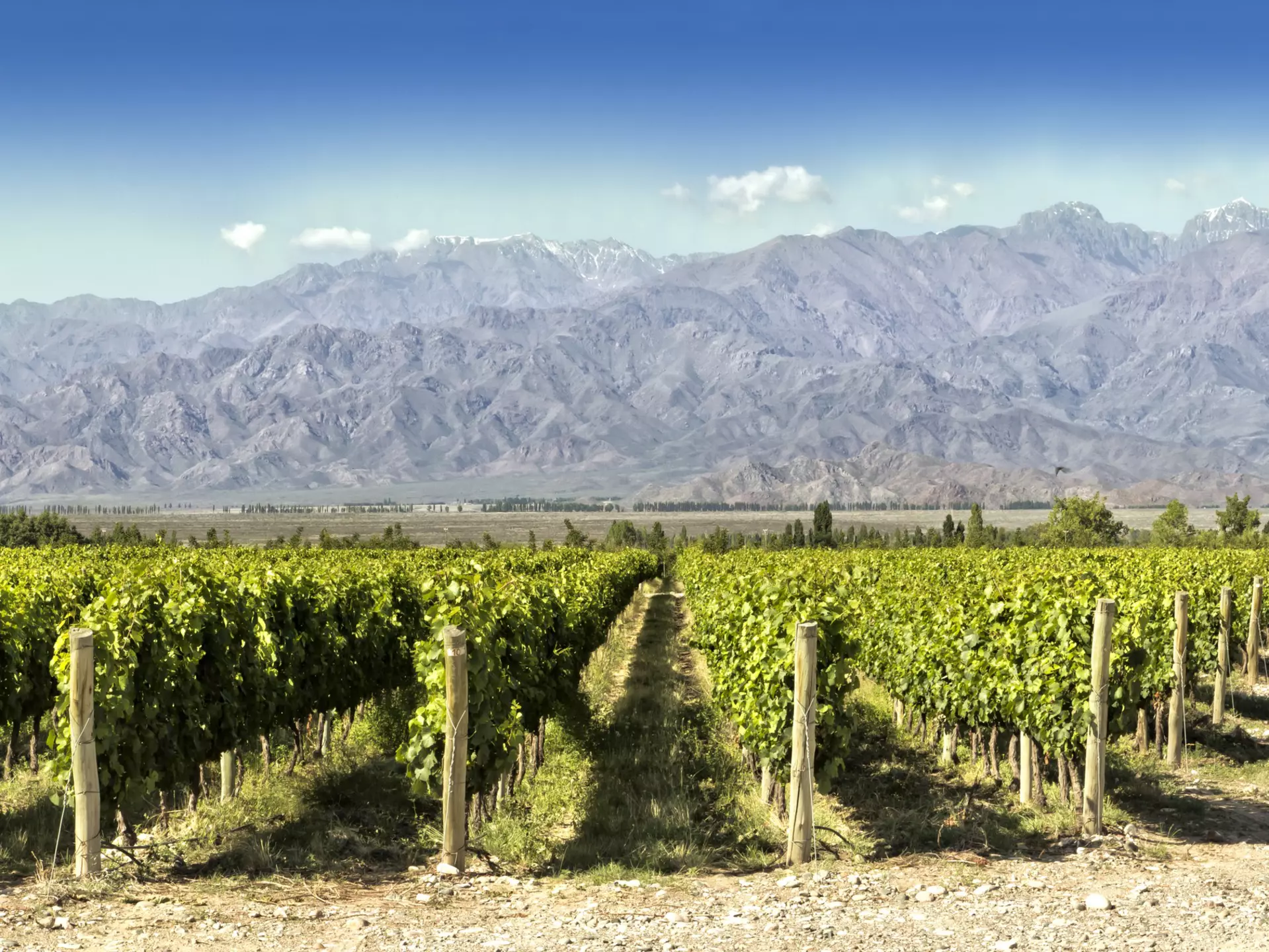 Argentina's claims to fame – the Andes and wine © Edsel Querini / Getty Images