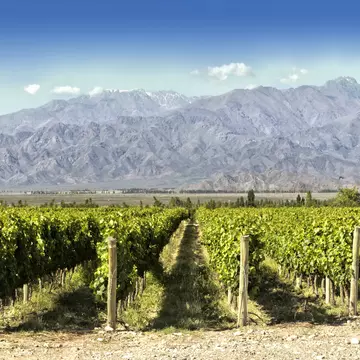 Argentina's claims to fame – the Andes and wine © Edsel Querini / Getty Images