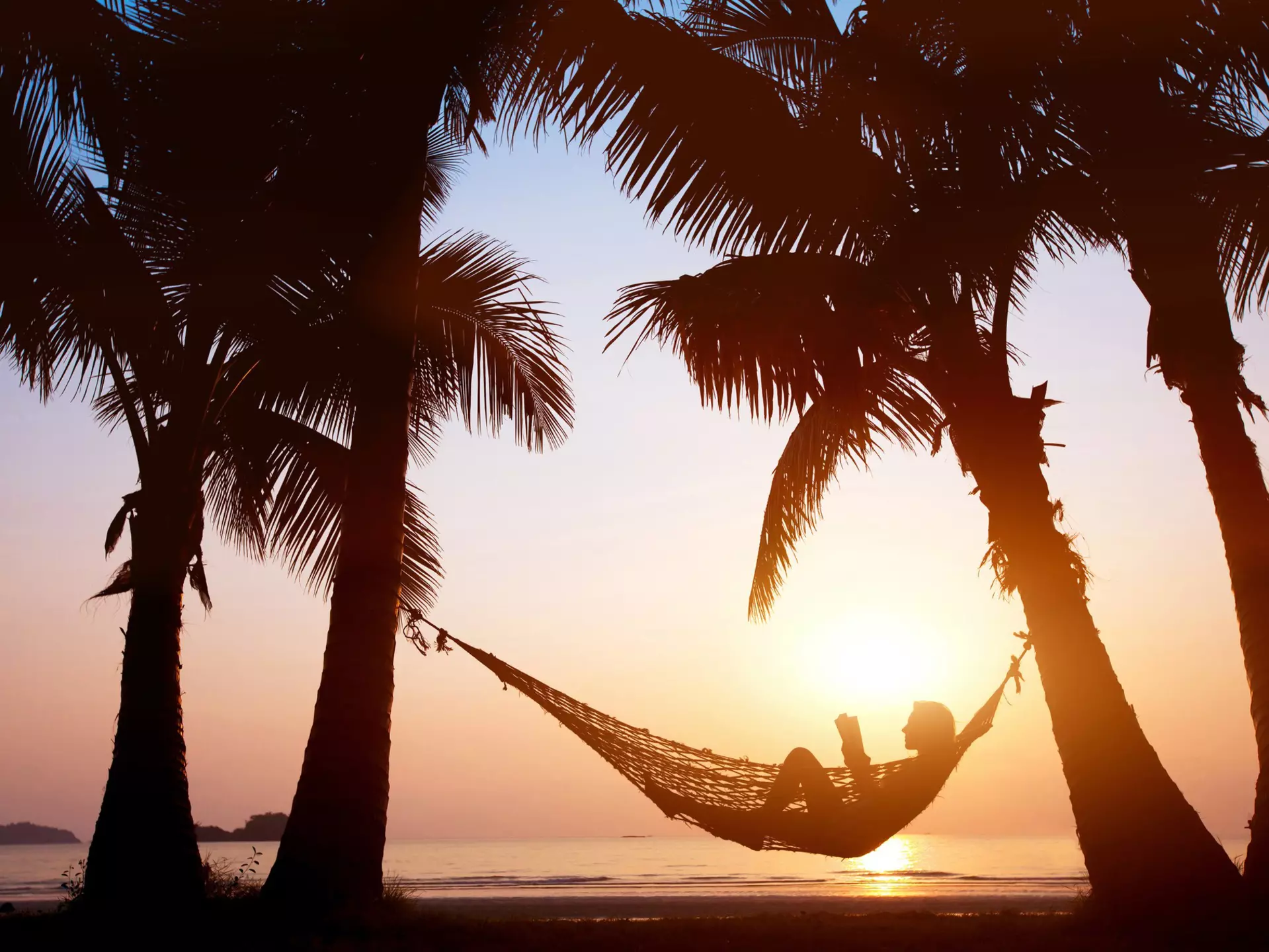 A woman relaxing in a hammock between two trees
