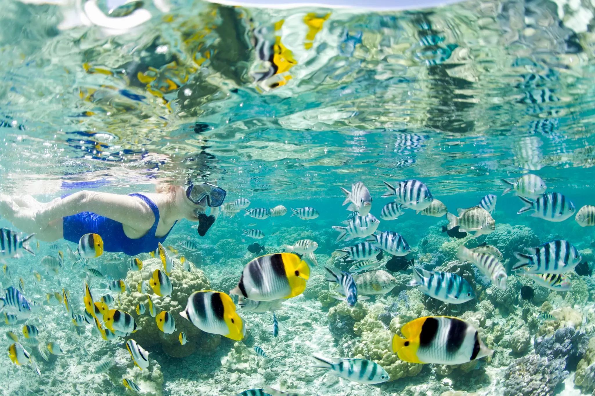 Snorkeling in a Bora Bora lagoon. Michele Westmorland/Getty Images