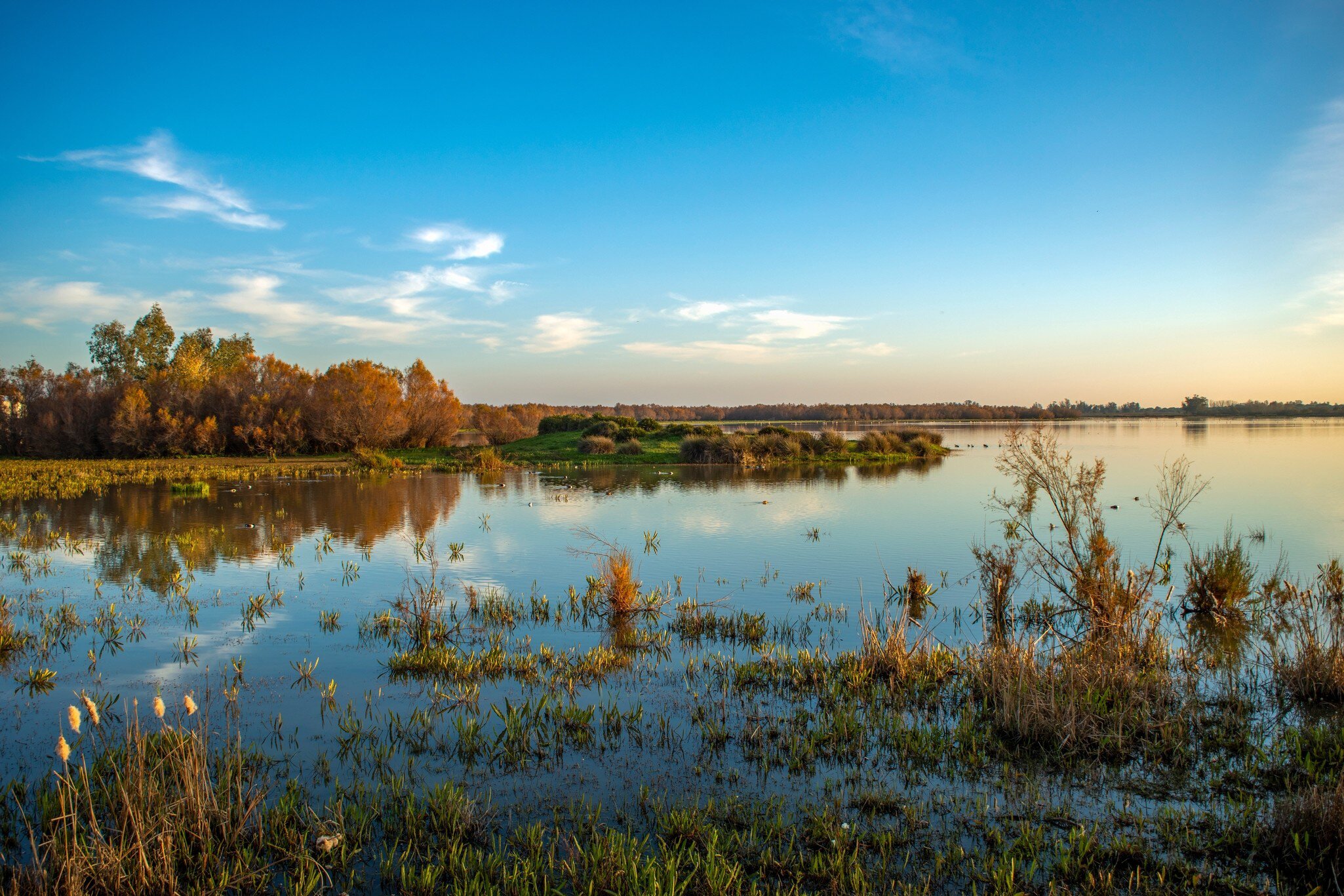 View of the lagoon landscape at sunset in the Parque Nacional de Doñana in Spain.