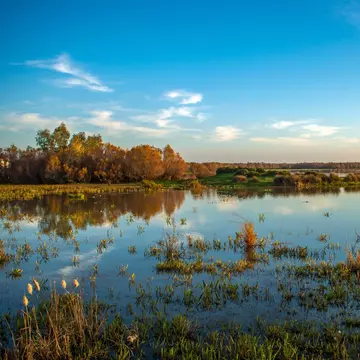 View of the lagoon landscape at sunset in the Parque Nacional de Doñana in Spain.