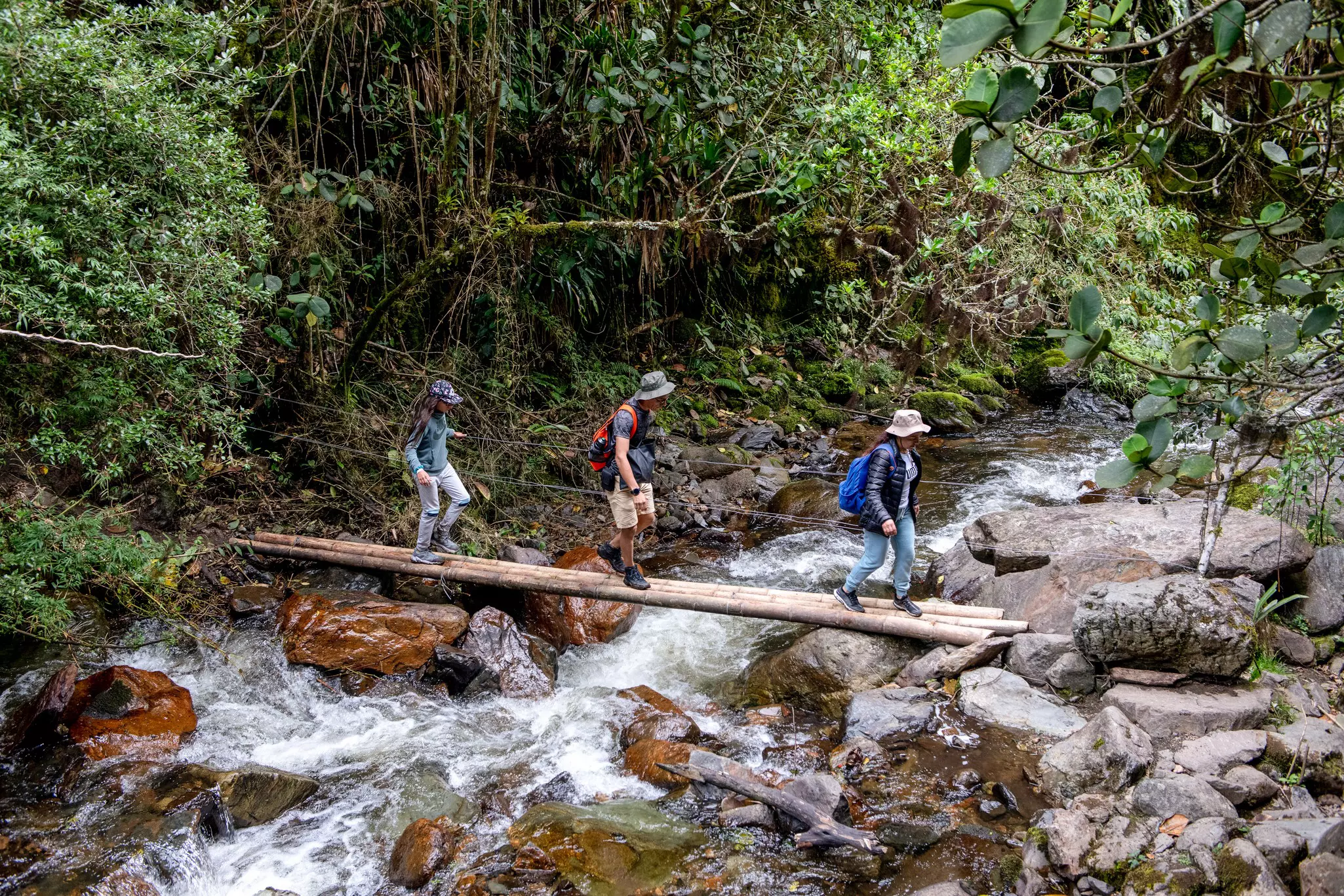 After paying a US$2 fee, you can hike in the lush Valle de Cocóra © Nadege Mazars / Lonely Planet