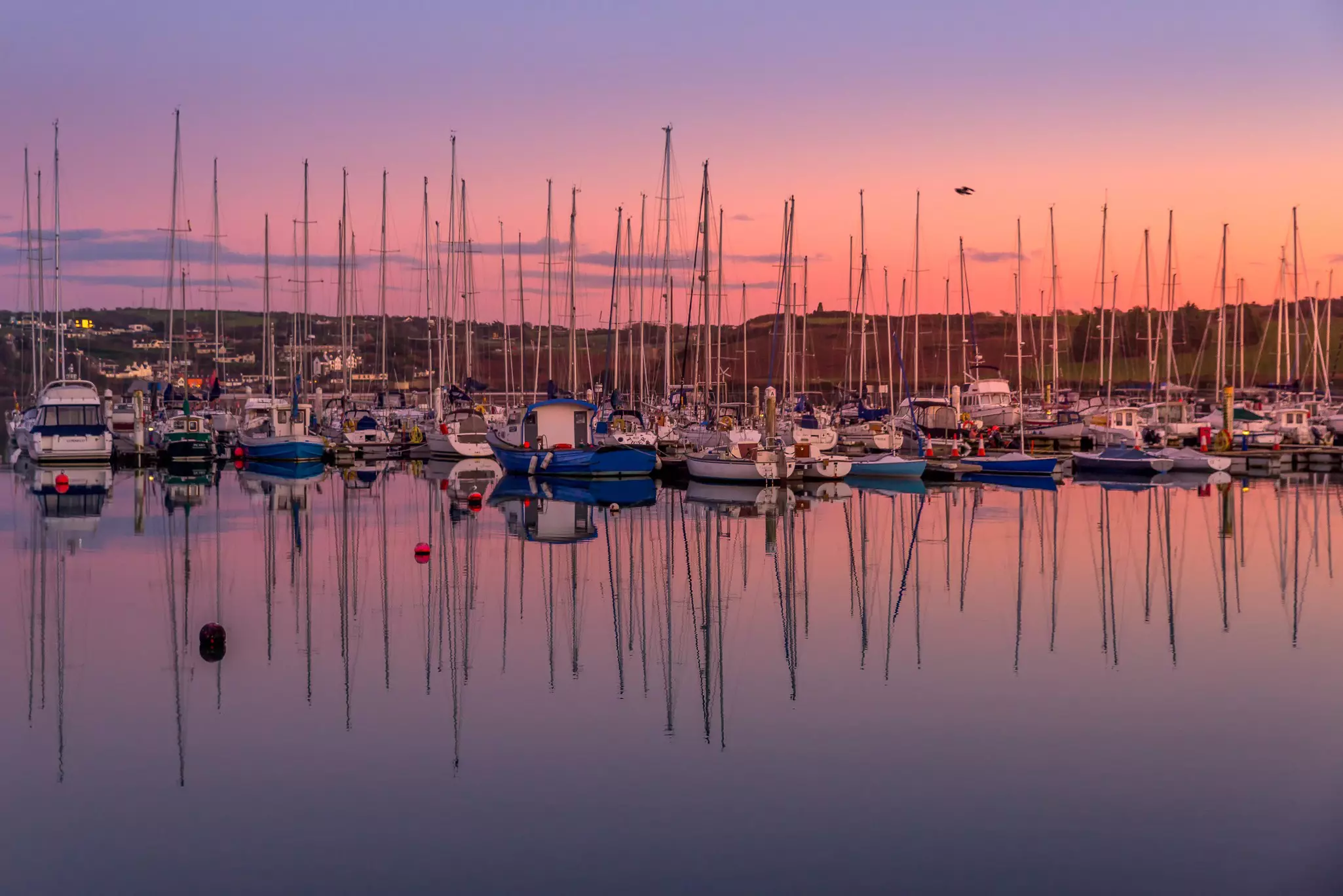 Boats at sunset on Kinsale Harbor in Cork, Ireland