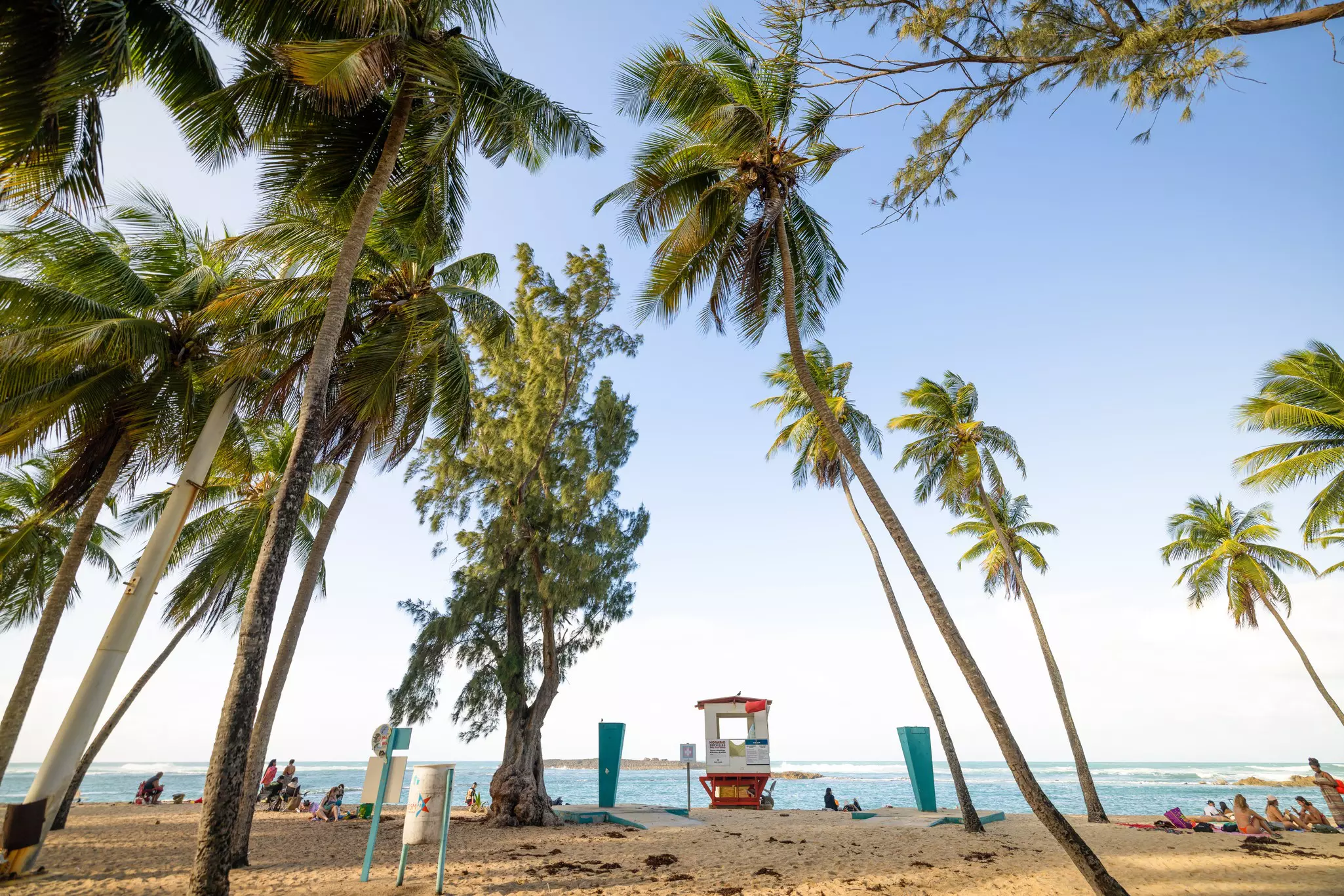 Palm trees grow in golden sand by blue water; a small red and white hut is in the center.