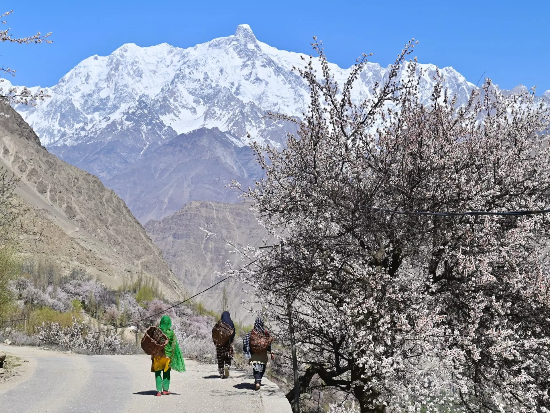 From avoiding monsoon conditions to choosing the perfect time to hike, this seasonal guide to Pakistan can help you plan when to visit © Jesse33 / Shutterstock