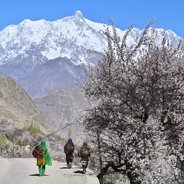 From avoiding monsoon conditions to choosing the perfect time to hike, this seasonal guide to Pakistan can help you plan when to visit © Jesse33 / Shutterstock