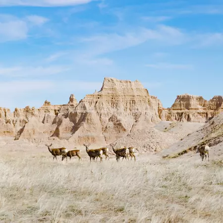 A hiking trail in Badlands National Park. Kelly Millington/Shutterstock