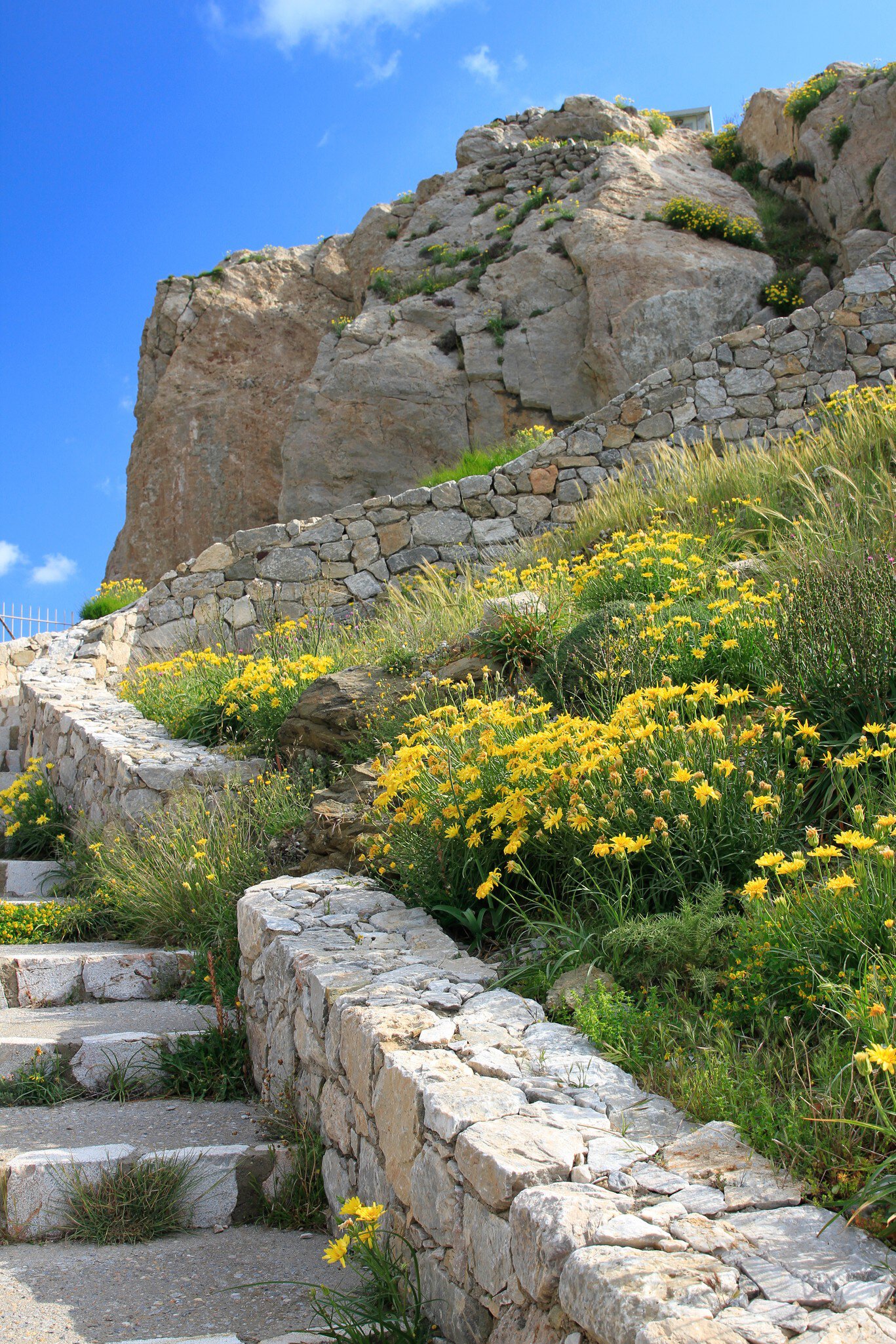 Narrow stone stairs leading up to Ancient Thera on Messavouno mountain, covered with spring flowers on a sunny day, Santorini, Greece.