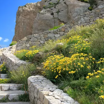 Narrow stone stairs leading up to Ancient Thera on Messavouno mountain, covered with spring flowers on a sunny day, Santorini, Greece.