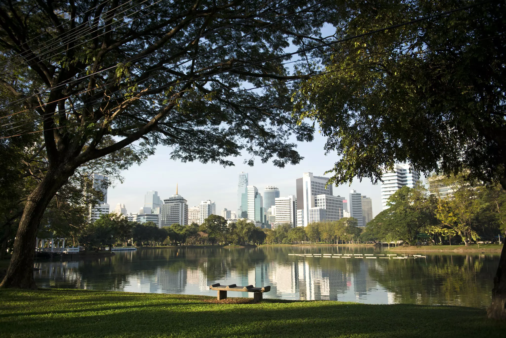 A bench inside Lumphini park covered by large trees with the view of Bangkok skyscrapers over a lake