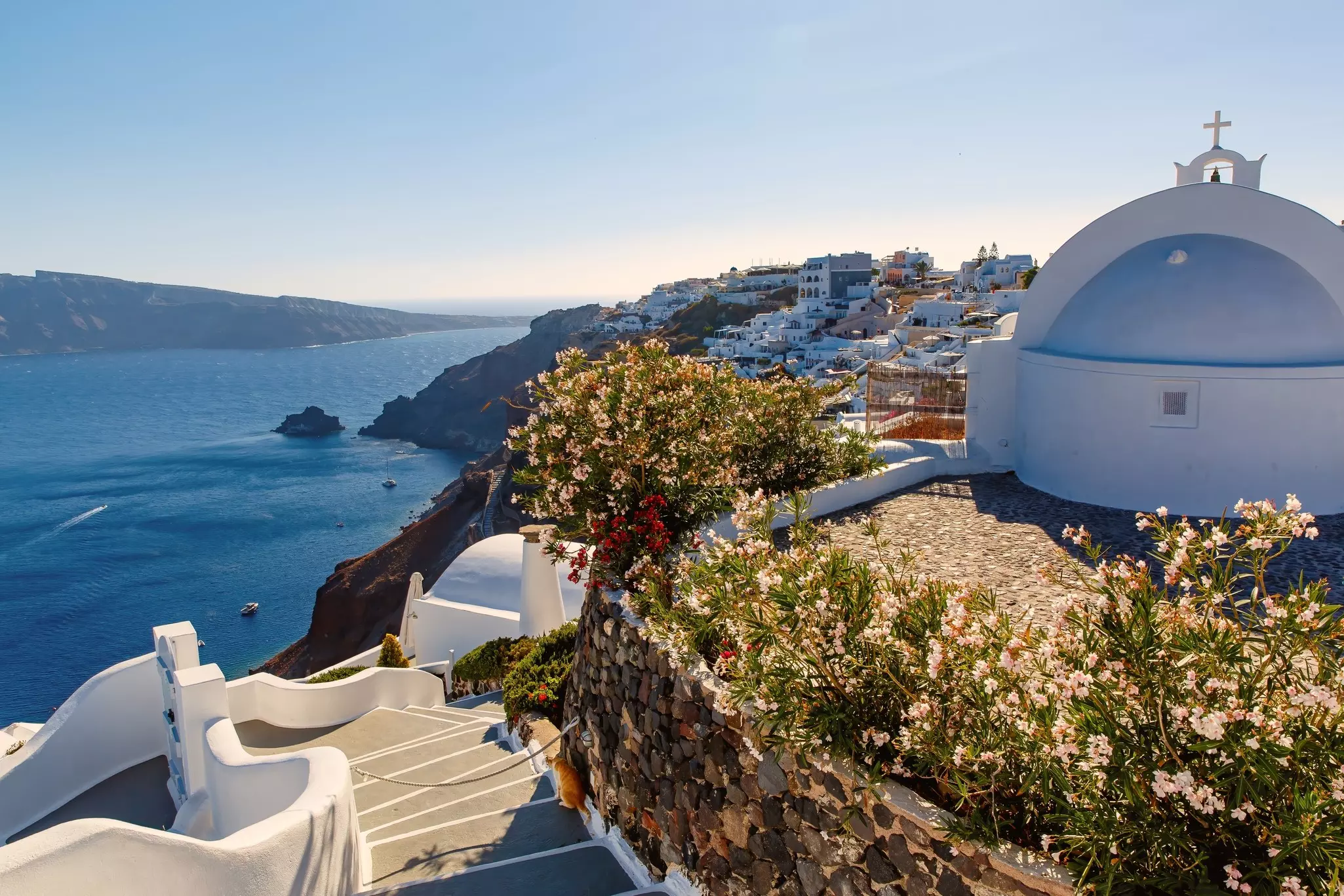 Close up of bougainvillea flowers on a caldera on a Greek island with whitewashed houses in background