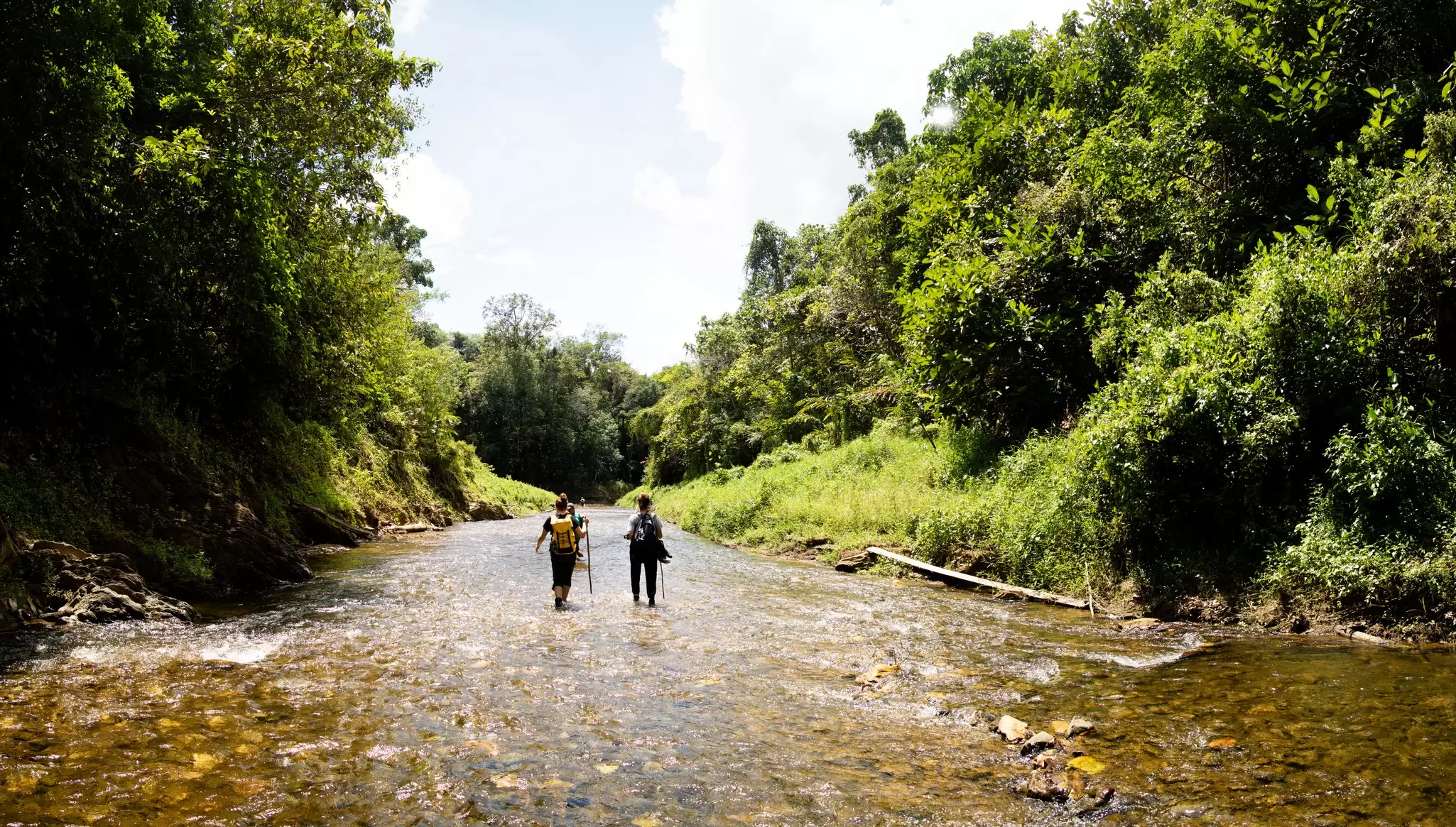 Trekking in Batang Ai National Park. Dreamer Company/Shutterstock
