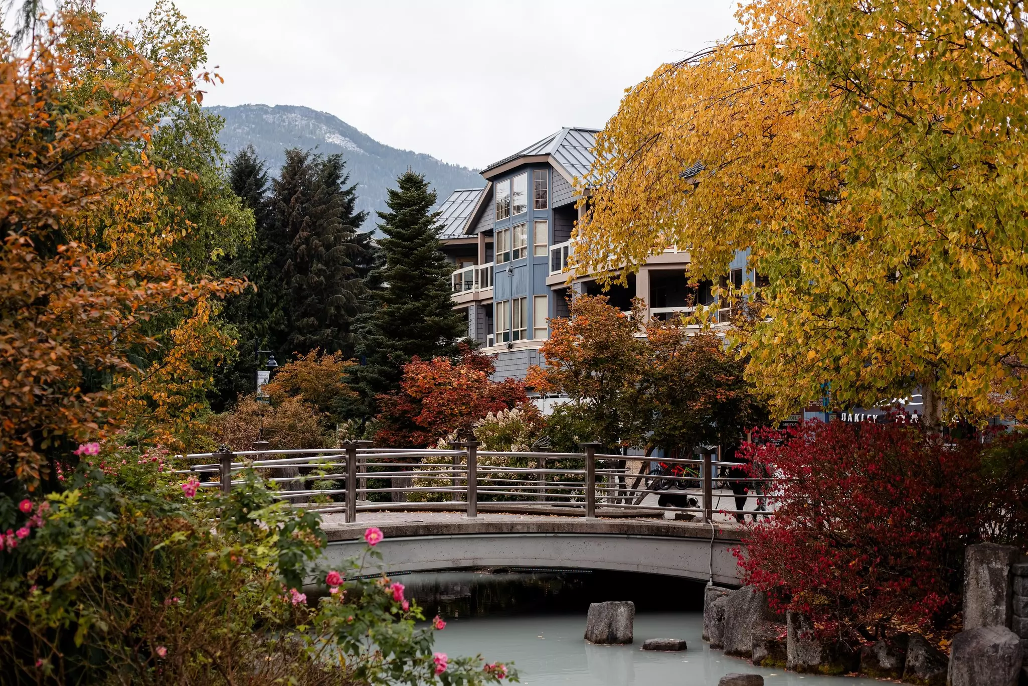 Autumn view of a small town park with a curved pedestrian bridge over a creek surrounded by trees with red and yellowing leaves and condo-like homes in the background backed by a mountain on an overcast day.
