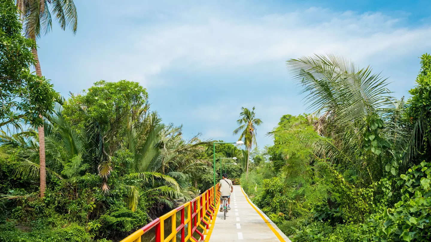 A cycle path with yellow-and-red railings stretches into the distance. Palm fronds and other green plant life surrounds the pathway.