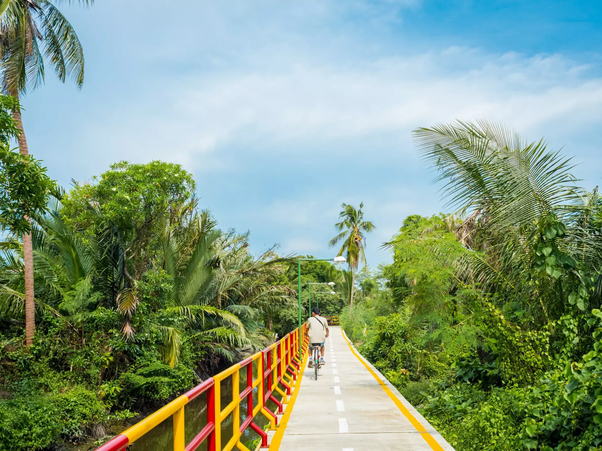 A cycle path with yellow-and-red railings stretches into the distance. Palm fronds and other green plant life surrounds the pathway.