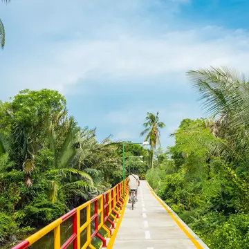 A cycle path with yellow-and-red railings stretches into the distance. Palm fronds and other green plant life surrounds the pathway.