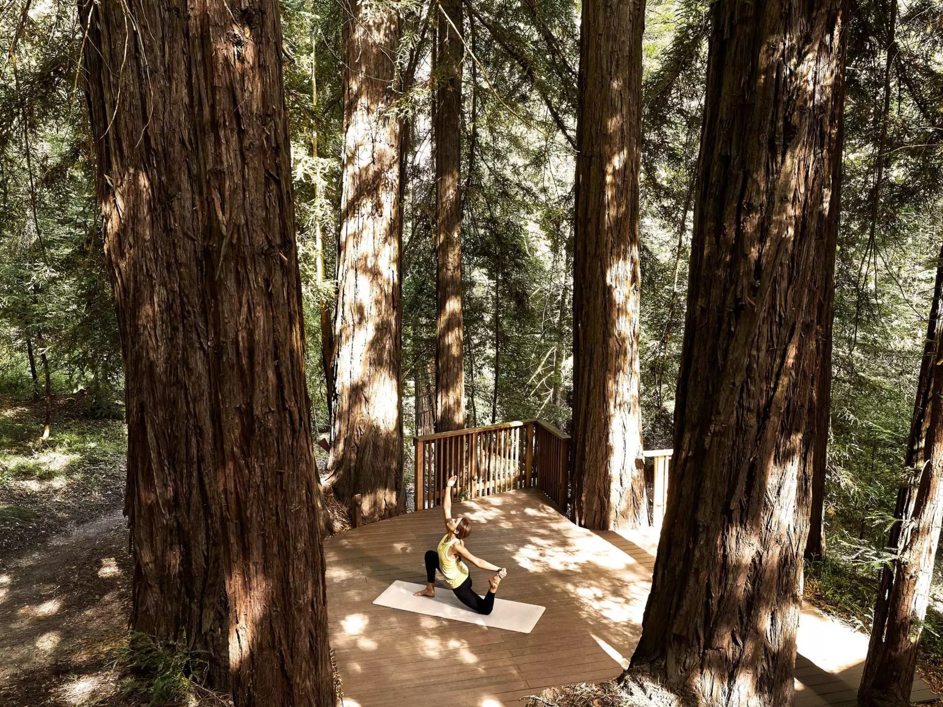 Outdoor yoga. Canyon Ranch