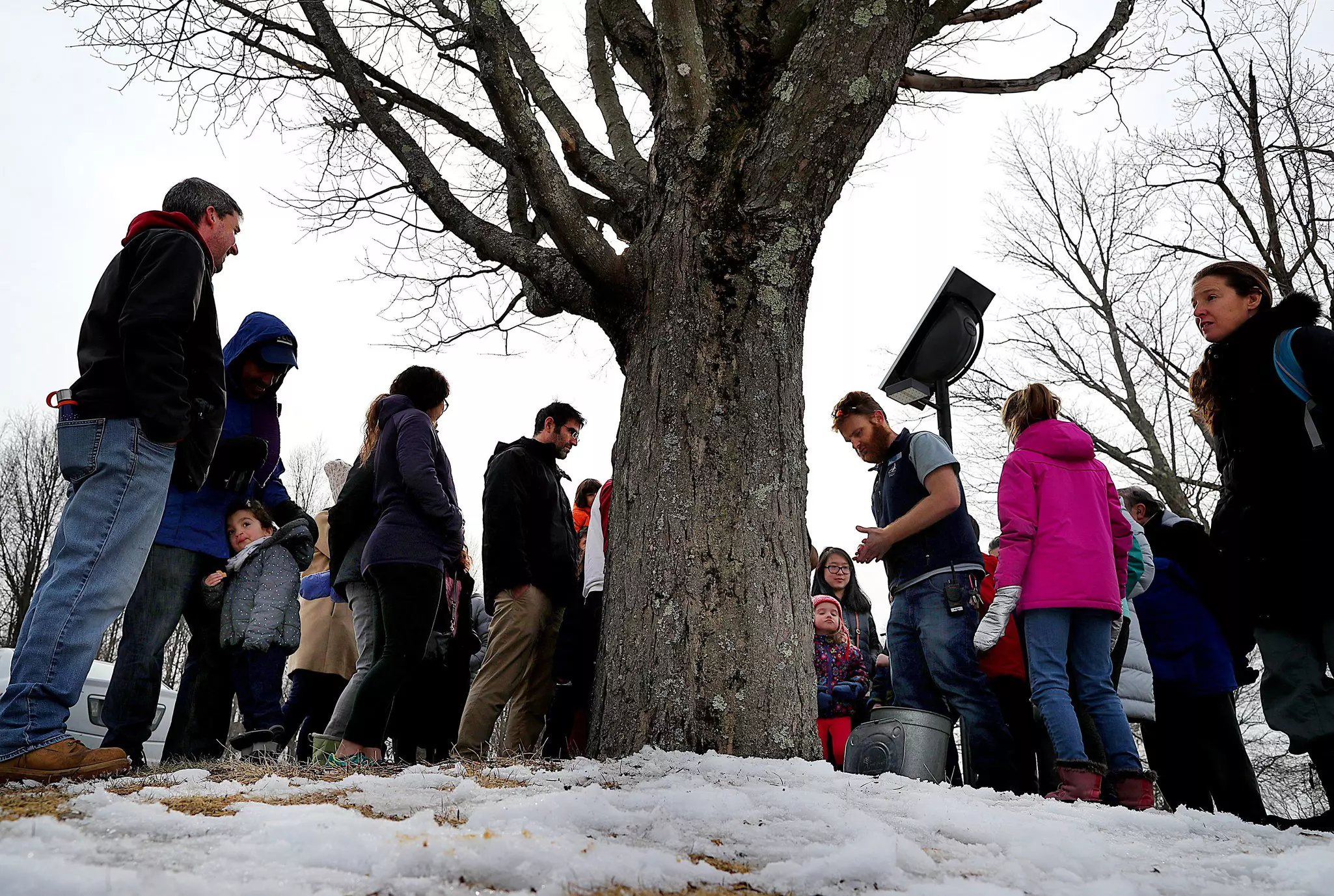 Learn the process of tapping maple trees and making maple syrup with an evaporator Mass Audubon's Boston Nature Center and Wildlife Sanctuary © John Tlumacki/The Boston Globe via Getty Images