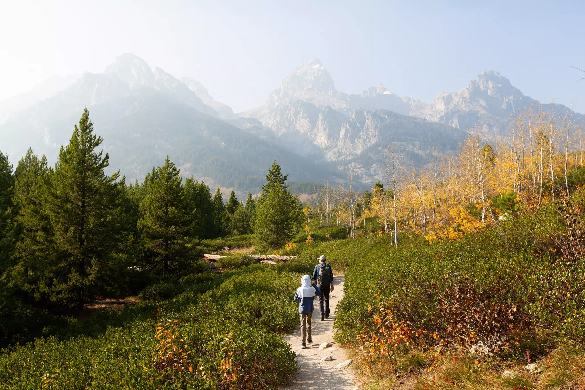 family of two, father and son, hiking and enjoying the gorgeous views in grand teton national parl, wyoming, during fall, active family vacation concept, License Type: media, Download Time: 2025-03-17T20:51:10.000Z, User: katelyn.perry_lonelyplanet, Editorial: false, purchase_order: 65050 - Digital Destinations and Articles, job: wip, client: wip, other: Katelyn Perry