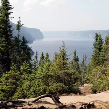 View of the Saguenay Fjord surrounded by forest in Quebec, Canada.