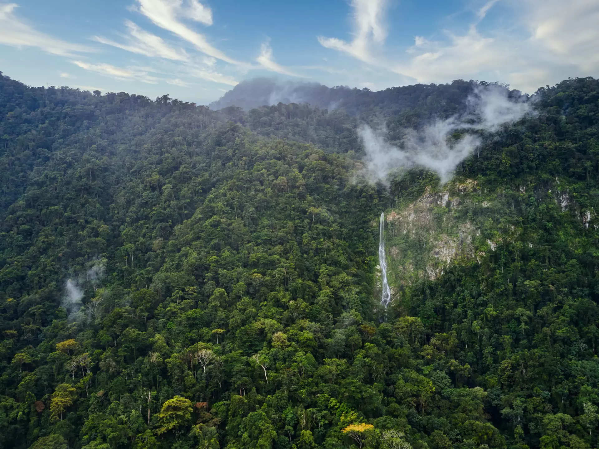 A waterfall in dense jungle