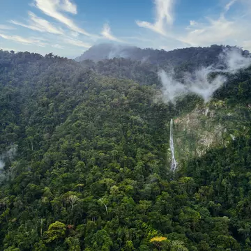 A waterfall in dense jungle