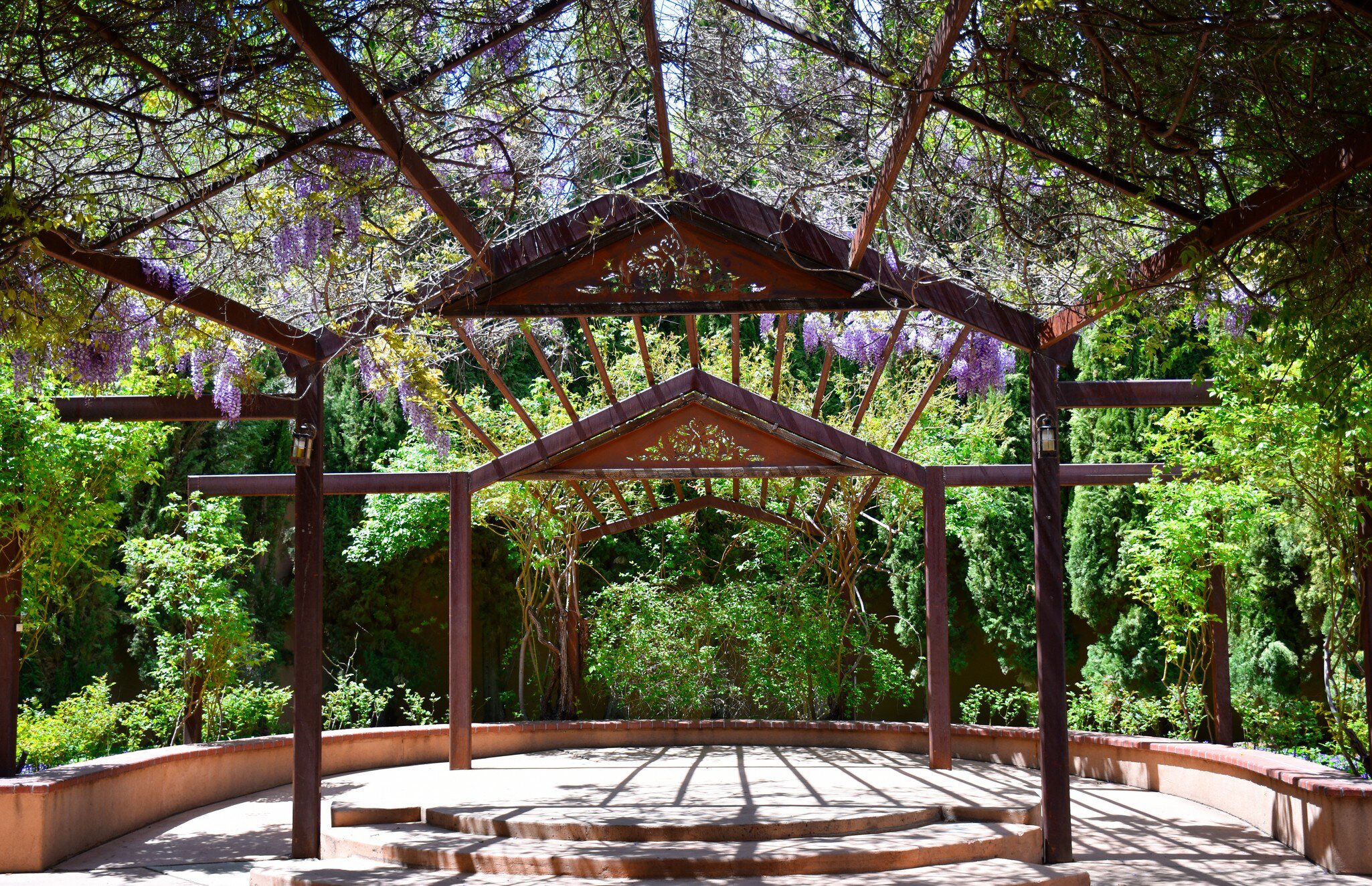 Sunlight filters through a garden canopy at the Albuquerque Botanical Garden