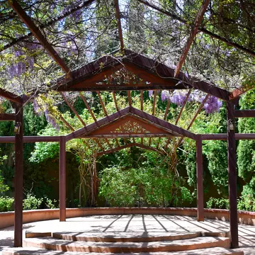 Sunlight filters through a garden canopy at the Albuquerque Botanical Garden