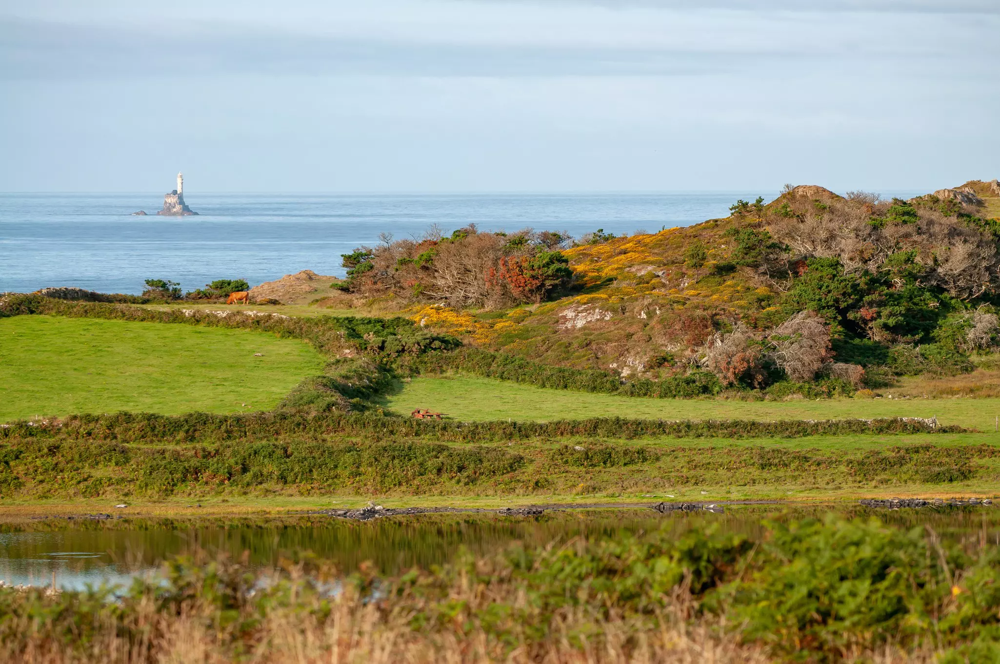 Green fields border blue water; a small island with a lighthouse is offshore.