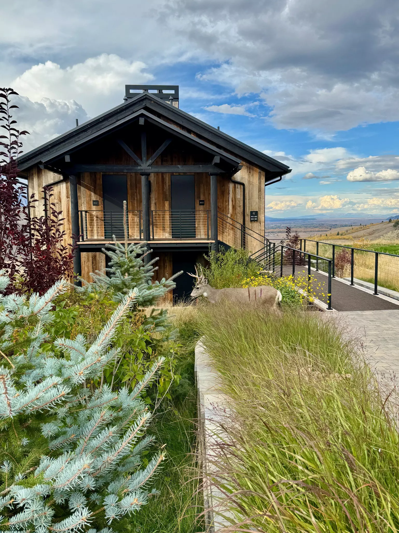 A deer at Hotel Yellowstone in Jackson Hole, Wyoming.
