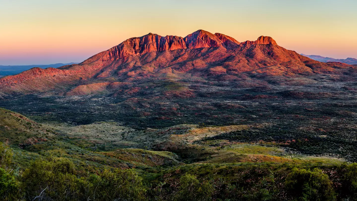 The deep red, orange, and purple alpenglow of Mt. Sonder in the West Macdonnel Range of Australia gleams at sunset over a variegated valley floor