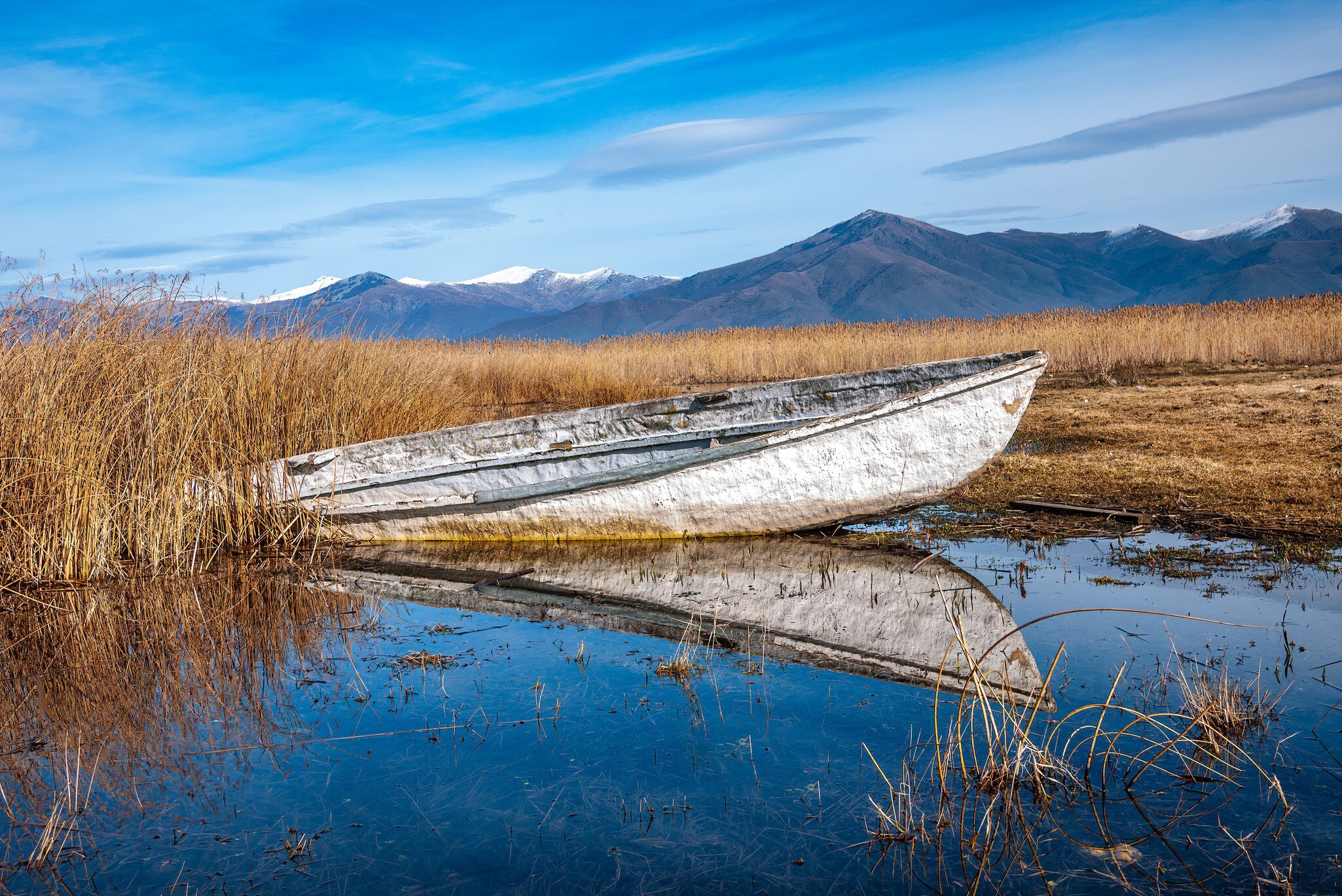 A weathered white wooden boat resting among tall golden reeds at a lake edge, mirrored in still blue water, with snow-streaked mountains beyond.