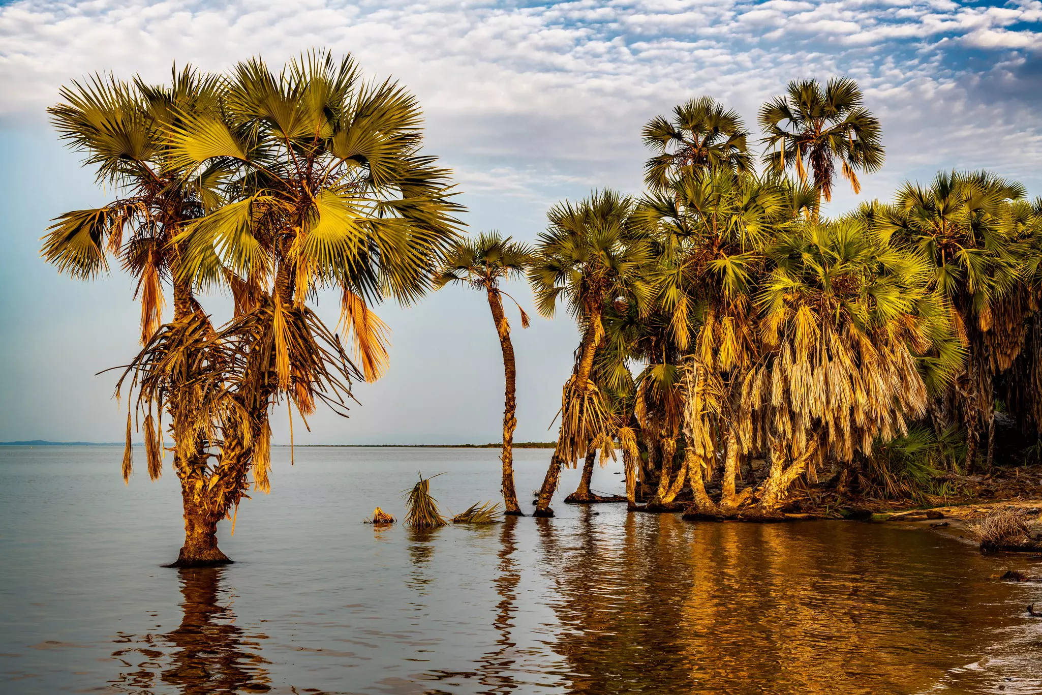 Lake Turkana. Jen Watson/Shutterstock