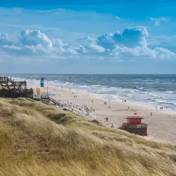 A busy beach lapped by large waves on a windy day.