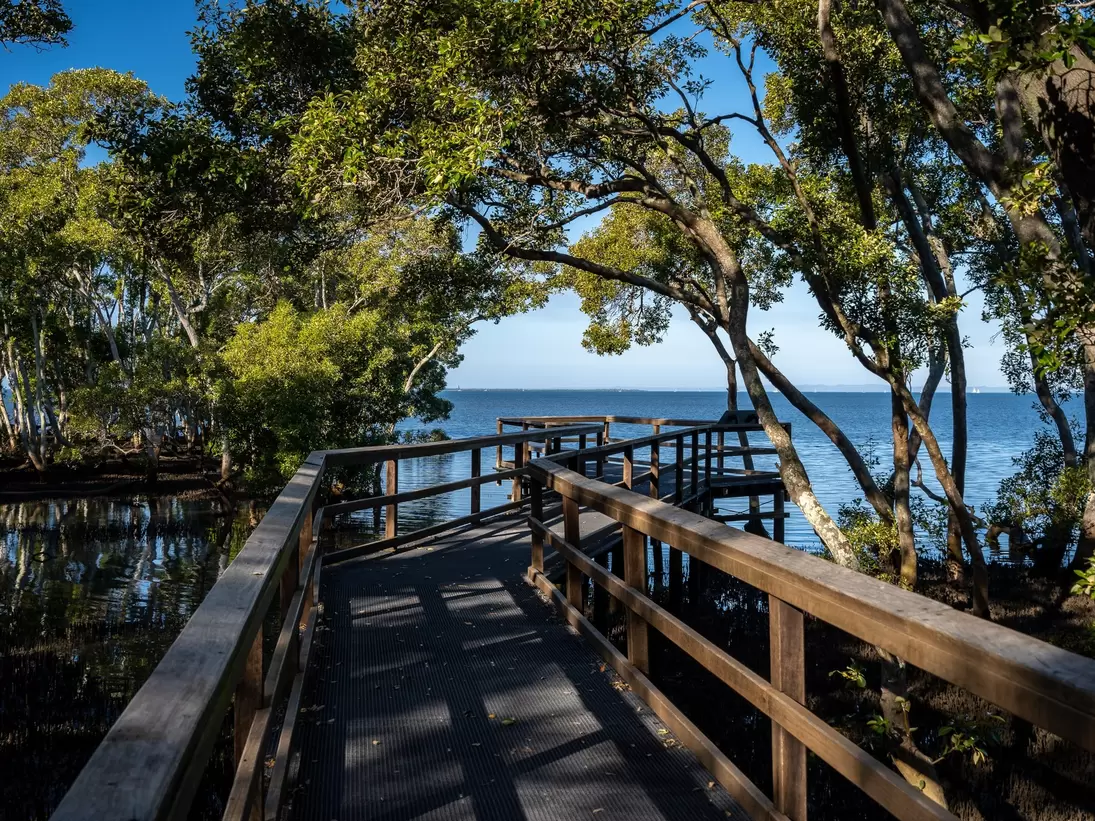 Wynnum Mangrove Boardwalk in Brisbane, Queensland, Australia.