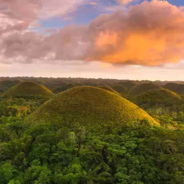 Rounded grass-covered hills scattered across dense green forest, under pink and orange evening clouds.