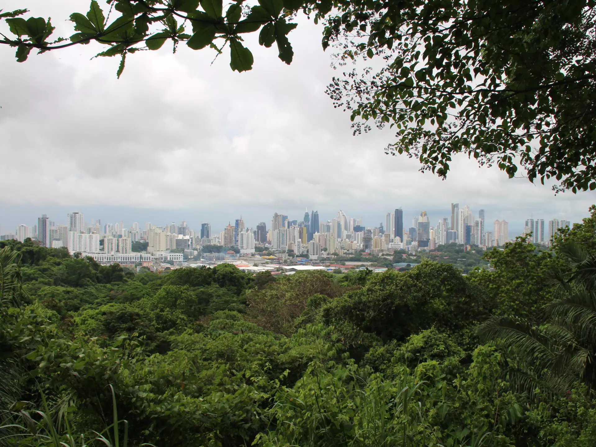 Panama as seen from Metropolitan Natural Park