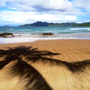 Shadows of palm trees on Duli beach, a surfing spot at El Nido.