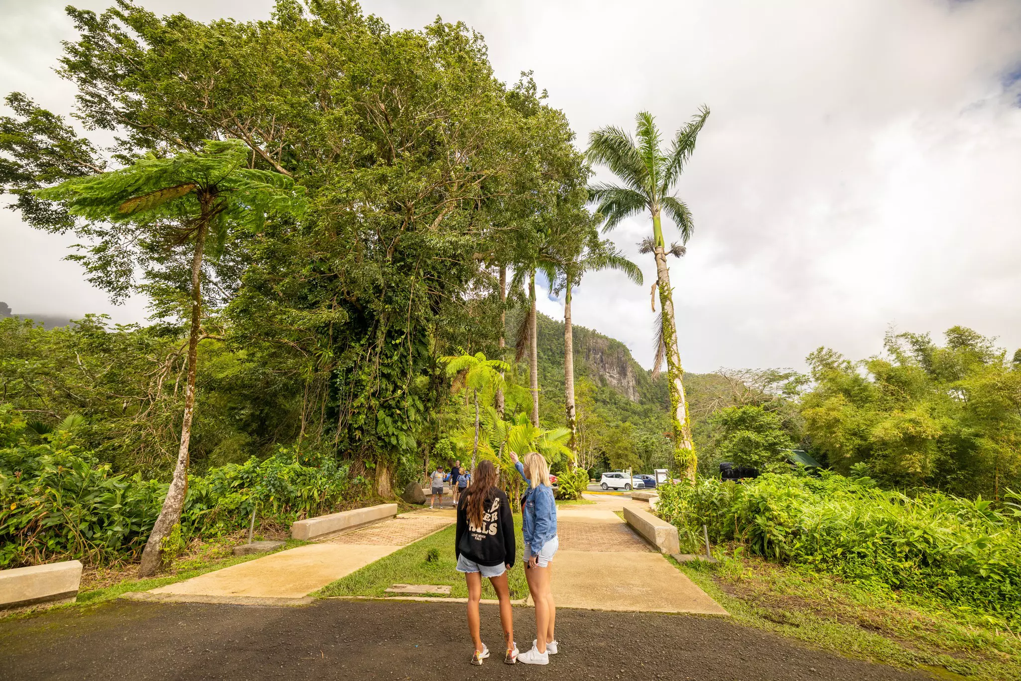 Two women stop near a car park at the entrance to a national park to look at some foliage