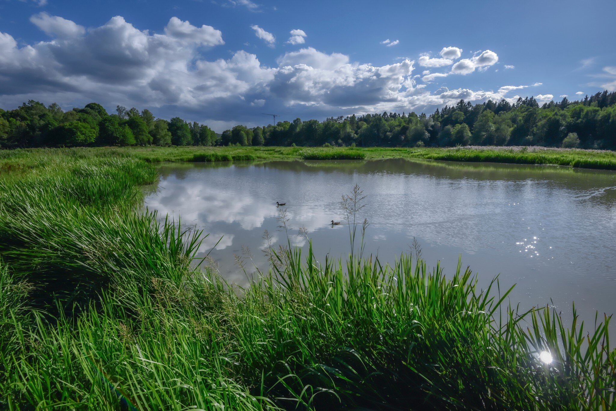 The lake Isbladskarret in Djurgarden island of Stockholm City in Sweden, as seen from the bird watching point. The sun is reflecting in water. The Royal National City Park.; Shutterstock ID 1601338936;