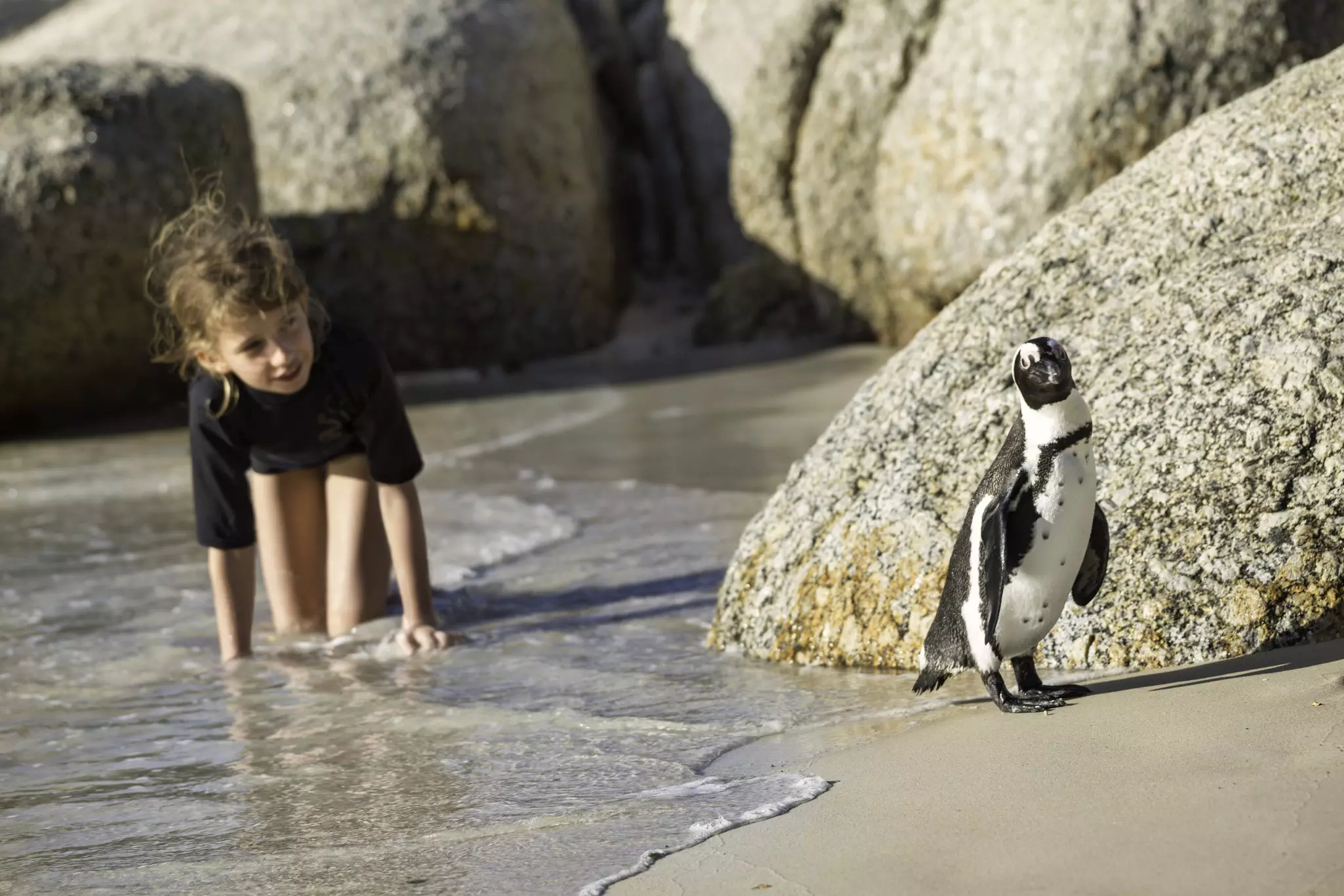 Little ones will love watching penguins waddle and play at Boulders Beach © wanderluster / Getty Images