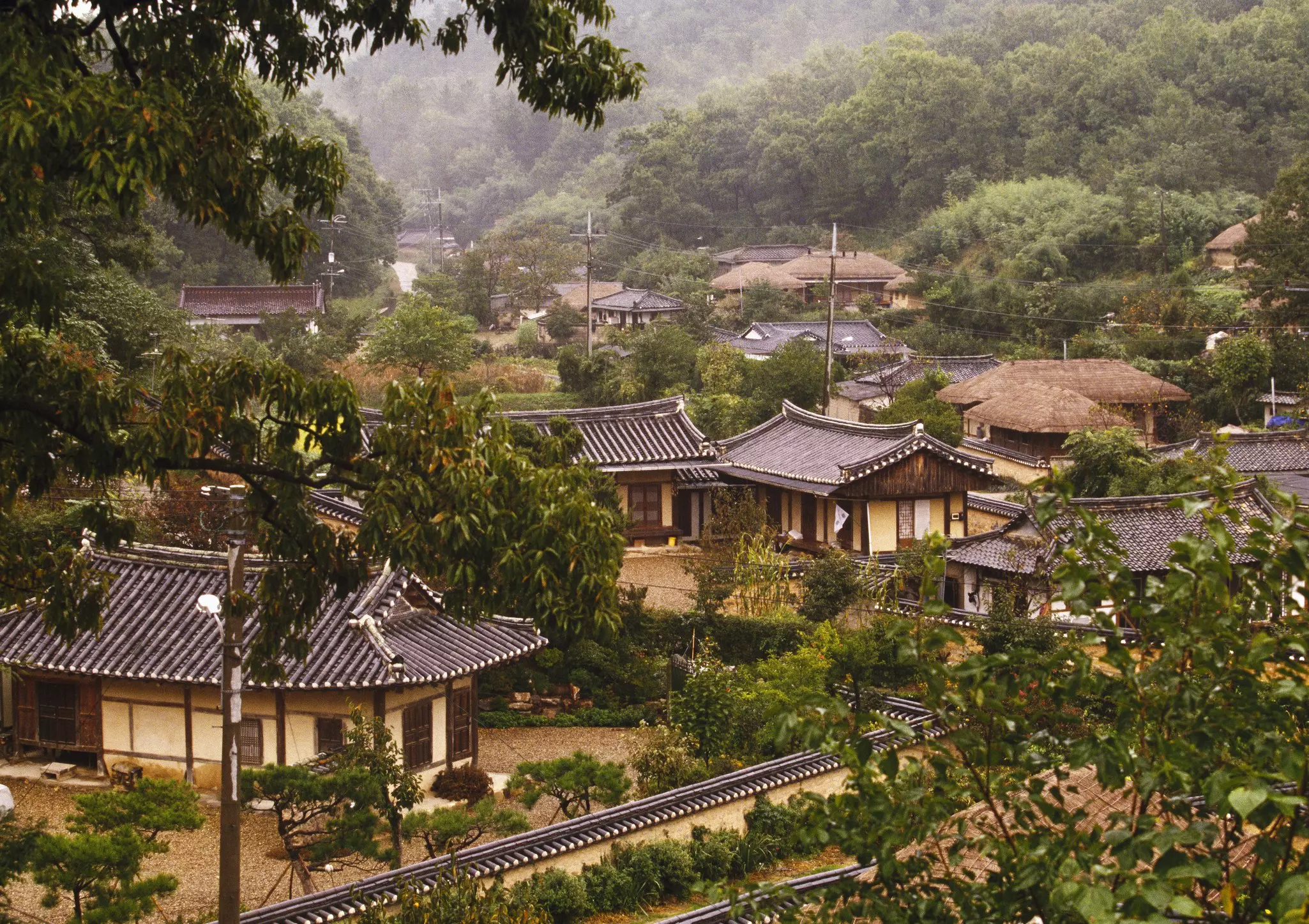 Traditional hanok houses in Yangdong Folk Village. Atlantide Phototravel/Getty Images