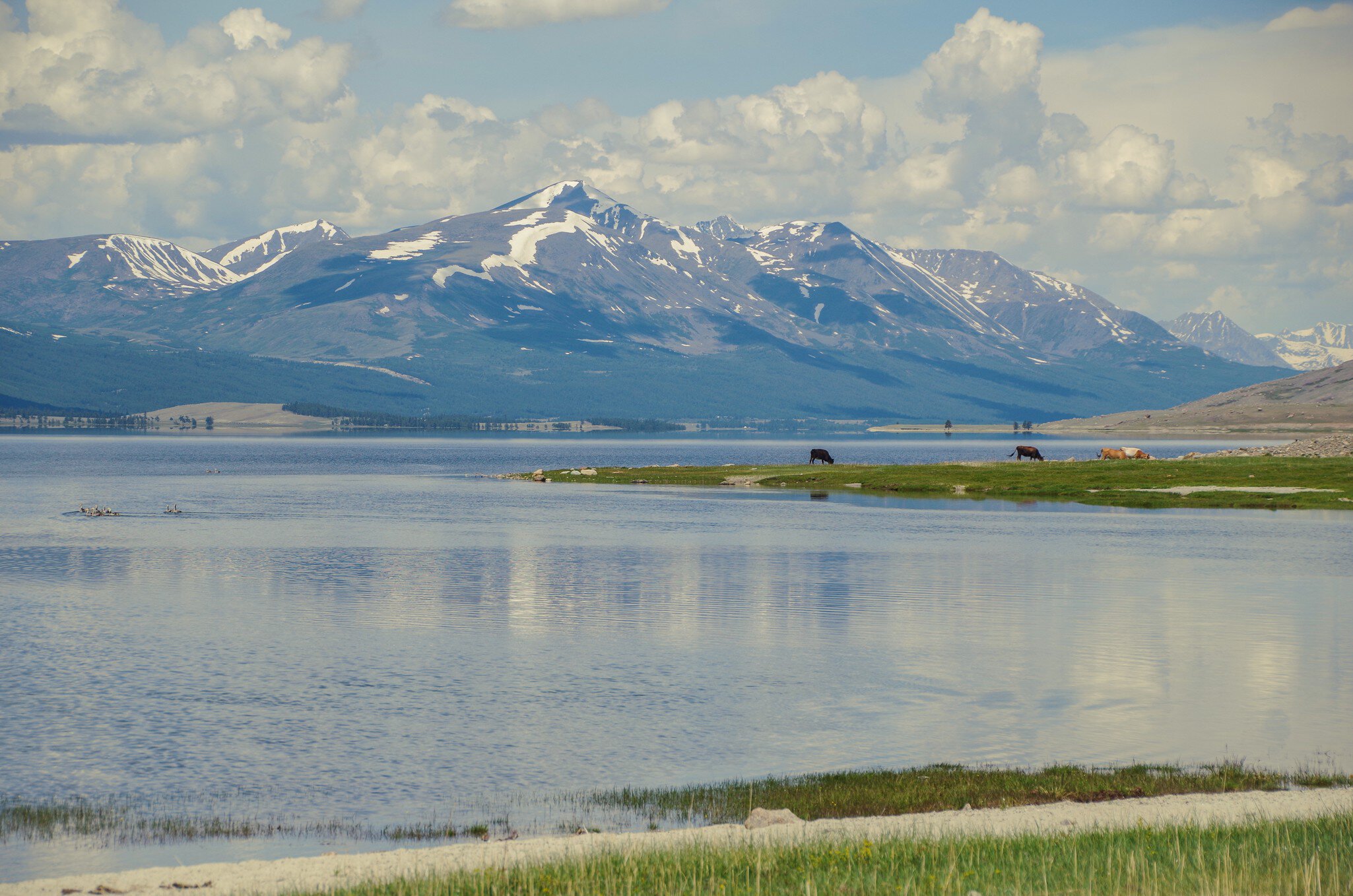 Mongolian Altai. Khoton Lake lies at the foot of the Altai Mountains near the Chinese border. Height about 2000 m above sea level. Nature and travel. Mongolia, Altai Tavan Bogd National Park; Bayan-Olgii Province
