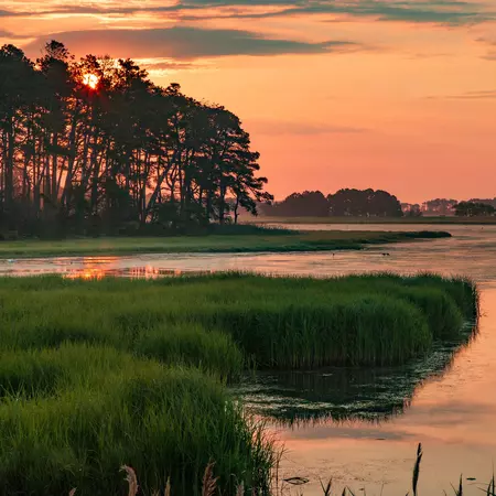 an orange sky over a green march and sparkling water.