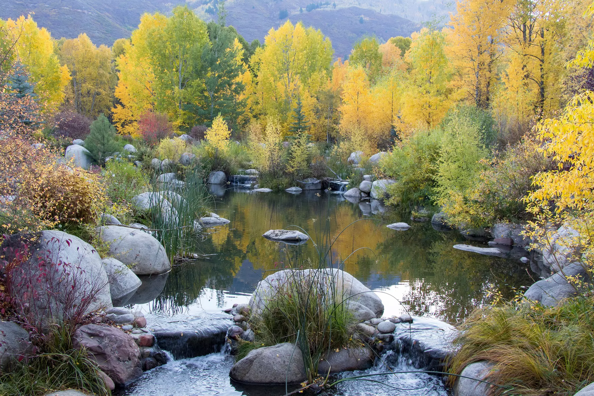 The John Denver Sanctuary in Aspen, Colorado is a city park and memorial to the late singer/songwriter.,
