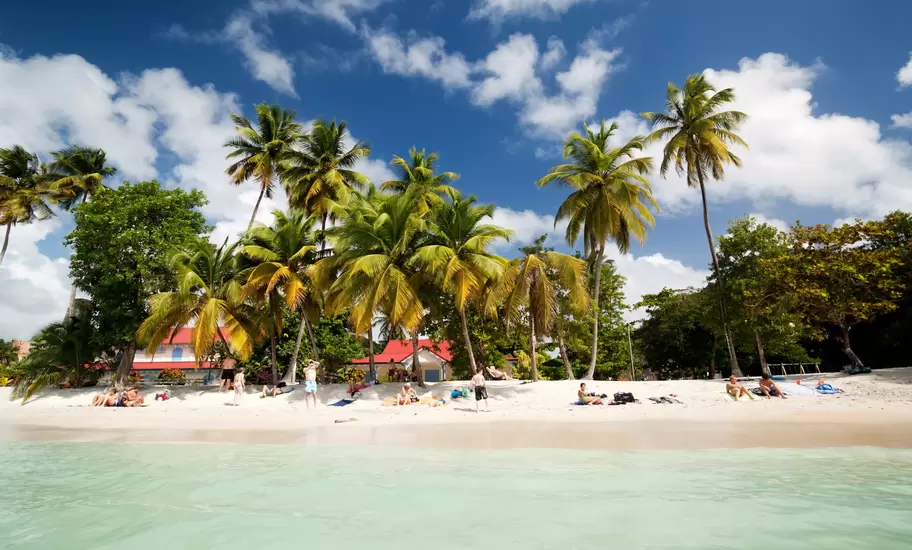 A view from the water of people relaxing on a white-sand beach fringed by palm trees in Martinque